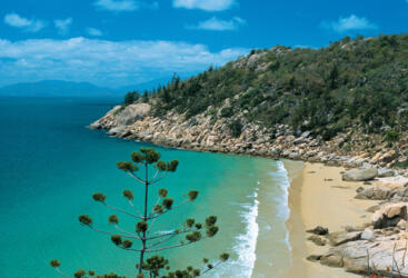 Full Day Sail - Magnetic Island
