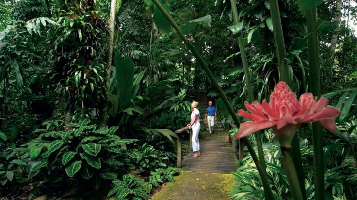 Discover Cairns Half Day Tours - Botanical Gardens Cairns