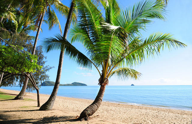 Discover Cairns - Visit Palm Cove Village located north of Cairns