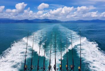 Cairns Full Day Great Barrier Fishing Private Charter