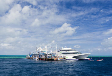 The ultimate outer Great Barrier Reef Pontoon tour in the Whitsundays