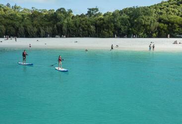 Whitehaven Beach | Half Day Tour | Stand up paddle board 