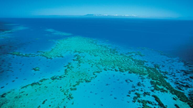 Great Barrier Reef aerial view - scenic flights