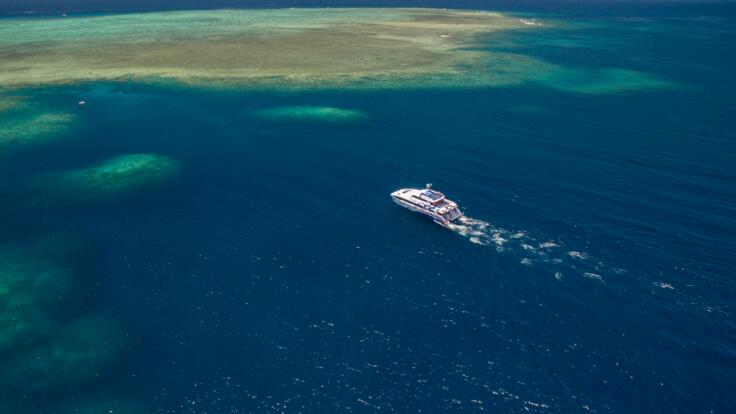 A fast catamaran ride to the best coral reef locations on the Great Barrier Reef