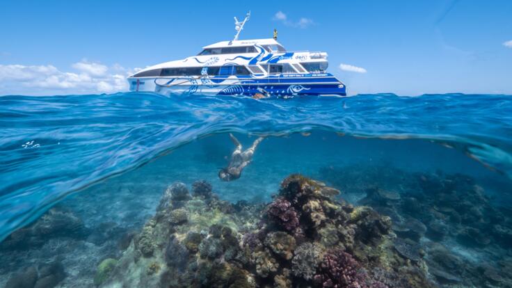 Cairns Reef Tours - Dive & Snorkel