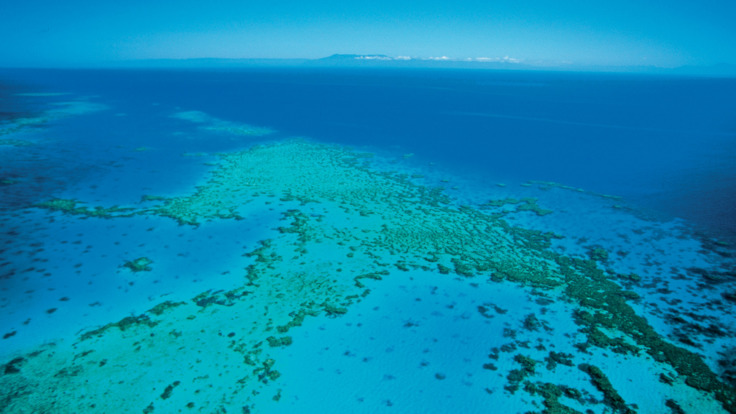 Great Barrier Reef Scenic flights - solitary sand cay Cairns Queensland Australia 