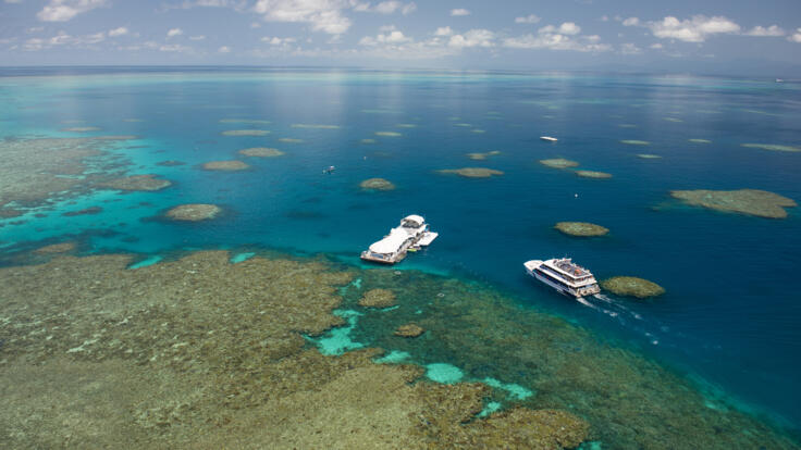 Cairns Tours - Aerial View of Norman Reef & Interactive Pontoon