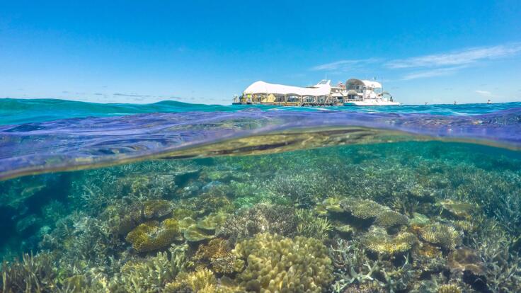 Great Barrier Reef Tours Cairns - Interactive Pontoon Platform  