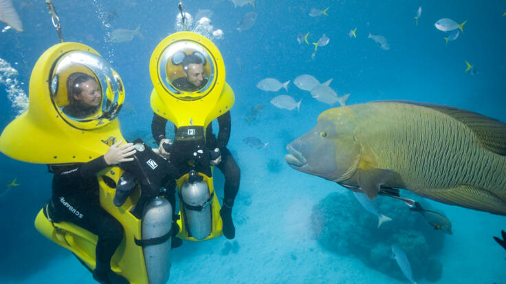 Scuba-Doo on the Great Barrier Reef from Cairns
