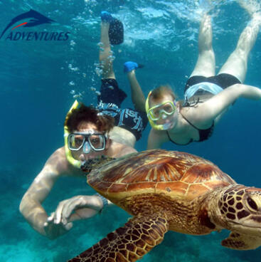 Cairns combo Package Tours - Swim with turtles at Green Island, Great Barrier Reef