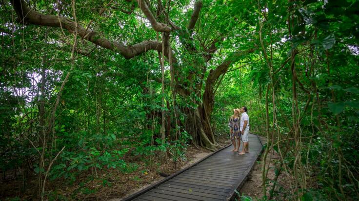 Green Island Rainforest Walk