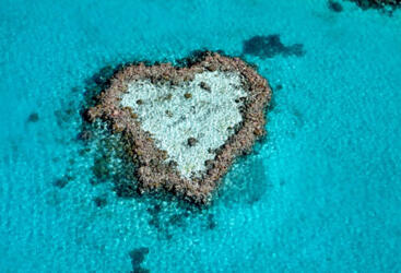 Heart Reef Whitsundays - Helicopter Flight Heart Reef - Whitsunday Islands - Great Barrier Reef Australia 