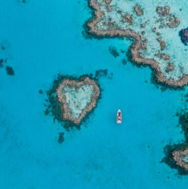 Tours To Heart Reef in Whitsundays 