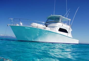 Charter Boats Cairns| Charter boat Great Barrier Reef Cairns