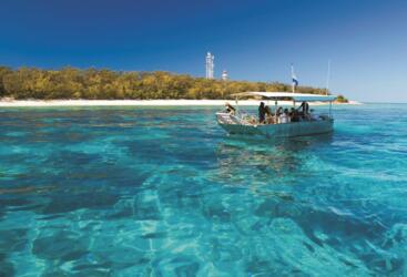 Glass Bottom Boat & Snorkel Tour at Lady Elliot Island Day Trip Great Barrier Reef 
