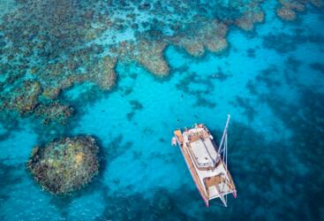 Small Group Sailing From Cairns - Dive & Snorkel Tours