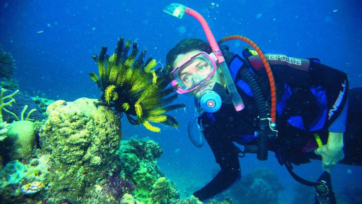 Dive Trips Cairns - Up to 2 night dives on our liveaboard dive trip on the Great Barrier Reef