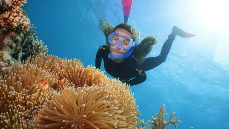 Snorkelling Tours Port Douglas - Great Barrier Reef