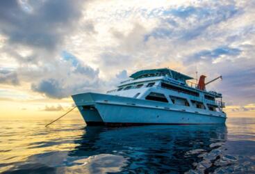 Cairns Dive Boats - Liveaboard Dive Trips From Cairns