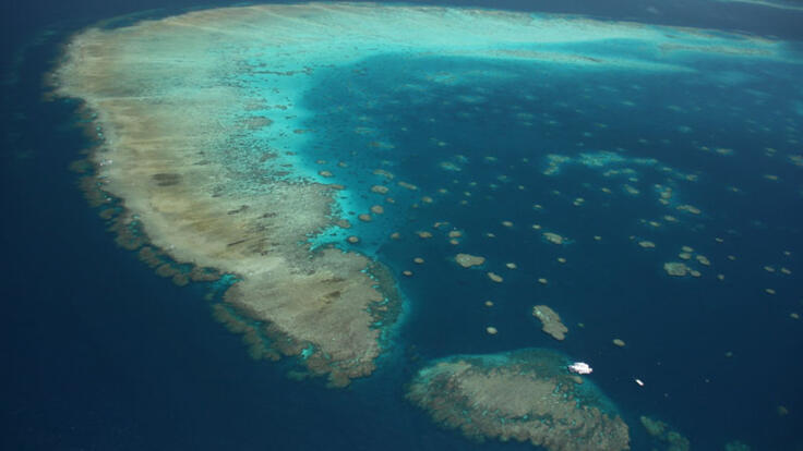 Cairns Helicopter Flight & Reef Combo - Aerial view of the Great Barrier Reef from seat of helicopter flight