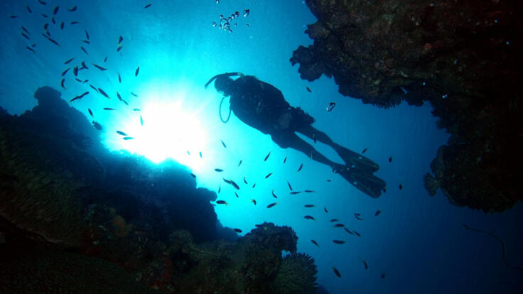Cairns Reef Tours - Explore the Great Barrier Reef with a scuba dive