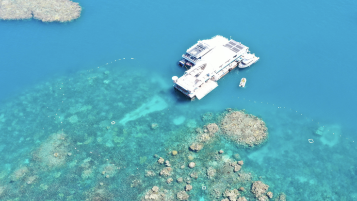 Cairns Great Barrier Reef pontoon surrounding reef