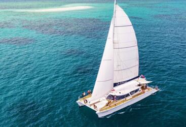 Port Douglas Reef Tours - Luxury Snorkel Tour