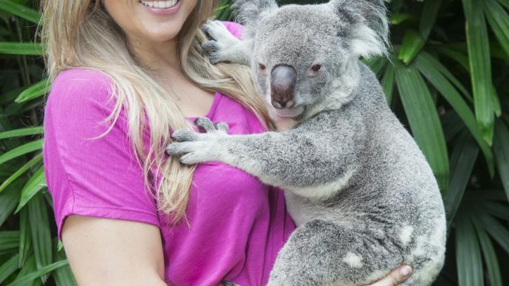 Daintree Rainforest Tours - Have your photo taken with a Koala