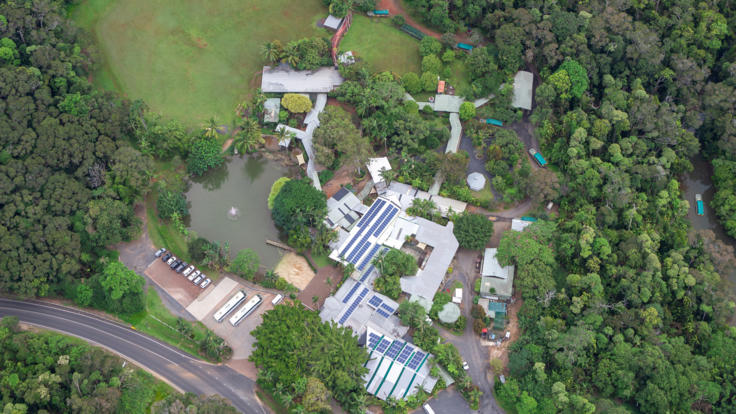 Rainforestation Aerial View