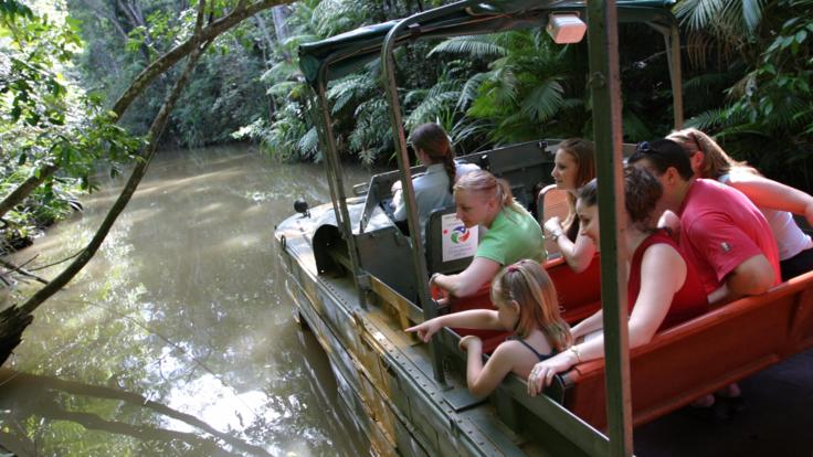 See the flora and fauna on the Army Duck Tour At Rainforestation Kuranda