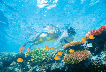 Snorkelling amongst colourful coral on the Great Barrier Reef