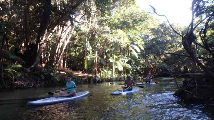 Port Douglas Stand Up Paddle Boarding Tours - Mossman River
