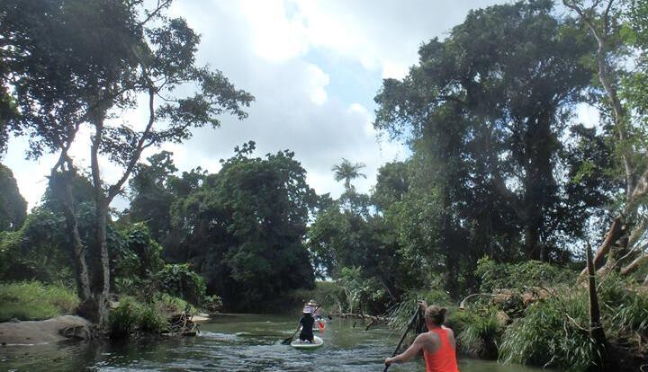 Stand Up Paddle Boarding Tours Mossman River 