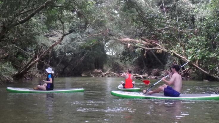 Mossman River Tours - Stand Up Paddle Boarding