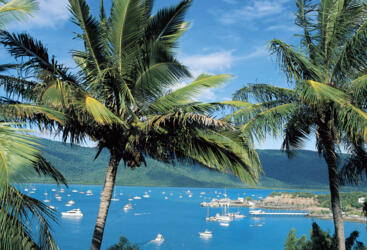 Shute Harbour from Coral Point Lodge, Whitsundays