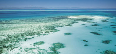 Great Barrier Reef Snorkelling Tours 