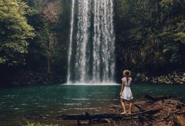 Atherton Tablelands Tours & Attractions - The Waterfall Circuit