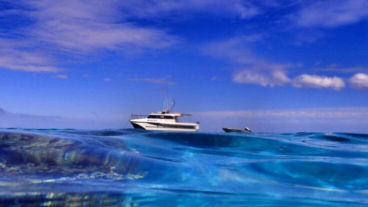 1770 Fishing Tours - Private Charter Snorkel Tours