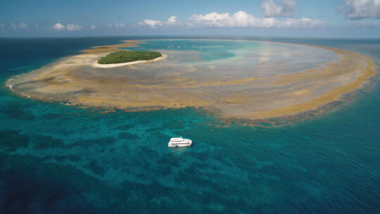 Lady Musgrave Island Snorkel Tours