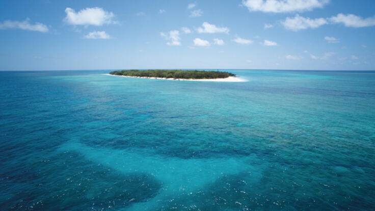 Lady Musgrave Island Snorkel Tours - Aerial View