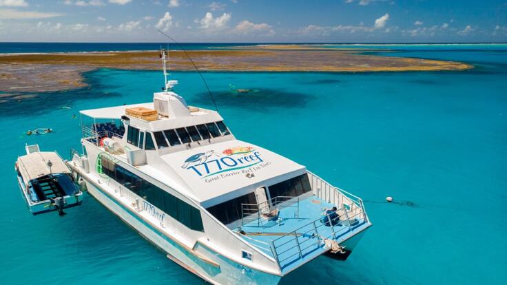 Visit Lady Musgrave Island from 1770 - Snorkel and Dive