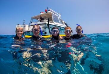 Charter Boat Port Douglas - Guided Snorkelling Tour - The Tour Specialists