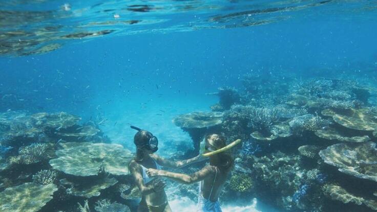 Private Charter boat tours Townsville - Snorkellers underwater 
