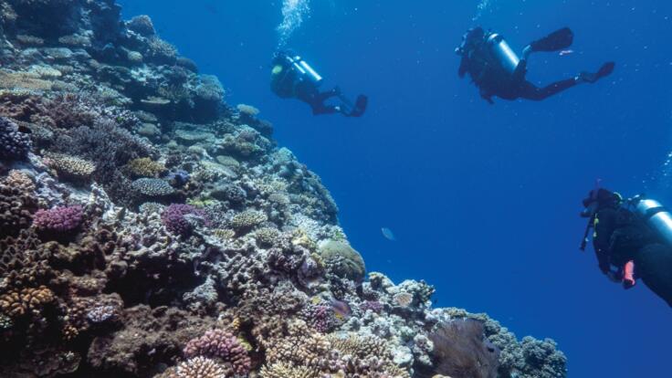 Charter Boats Cairns - Private Dive Trips