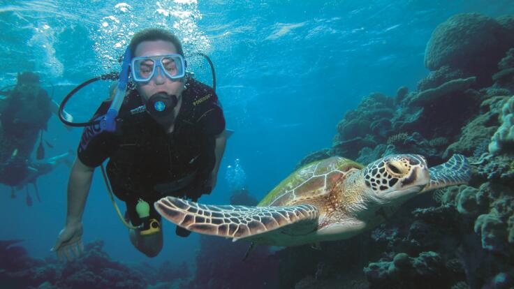 Yacht Charter Cairns - Scuba dive with turtles on the Great Barrier Reef