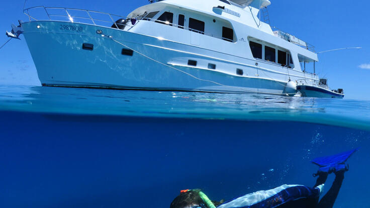 Cairns Yacht Charters - Pre-book a Dive Master 