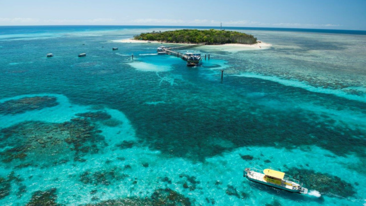 Half Day Reef Tours Cairns - Aerial view of Green Island and the Great Barrier Reef