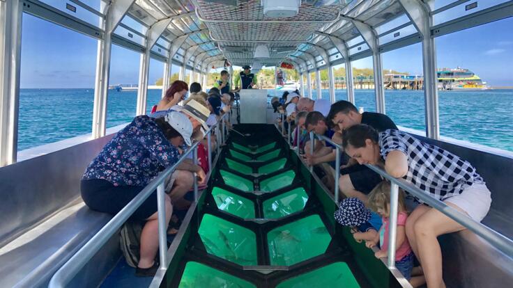 Green Island Tour - Glass bottom boat tour on the Great Barrier Reef