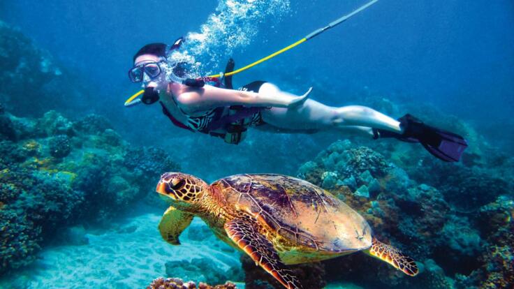 Green Island Snorkelling Tours from Cairns