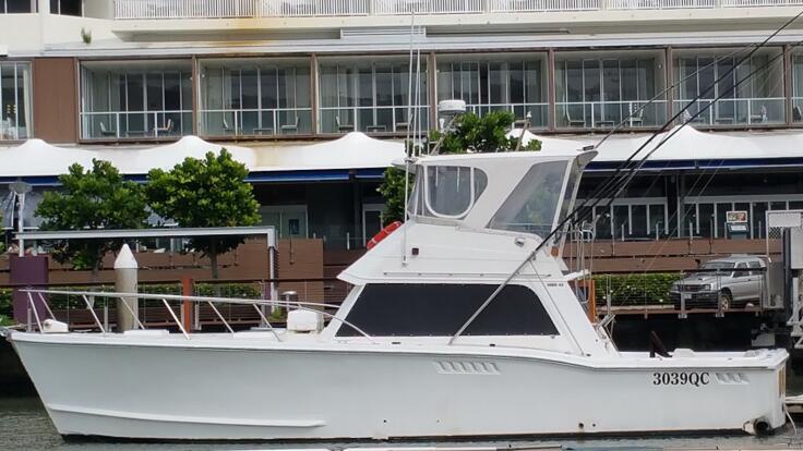 Private Boat Charter Cairns - Snorkel Tours